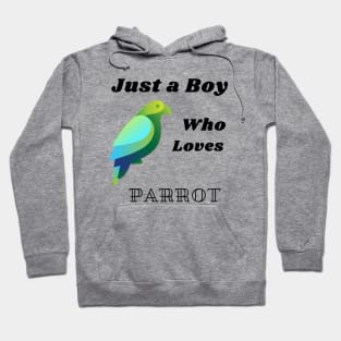 just a boy who loves parrot Hoodie